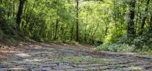 Krajinski park Beka 2